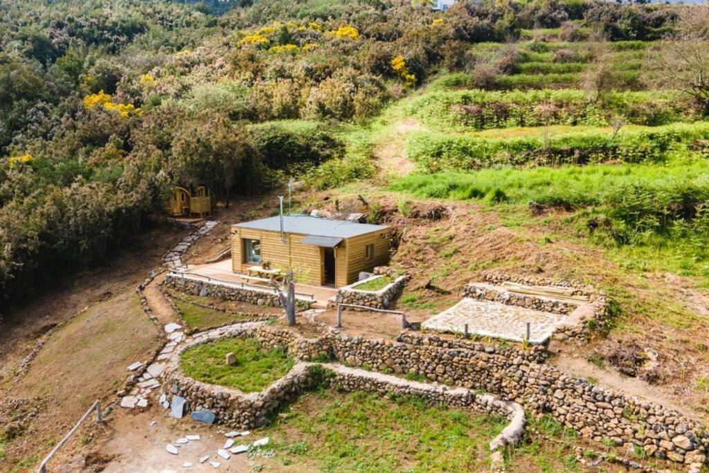 El Pino Centenario 3 La Orotava Kültér fotó